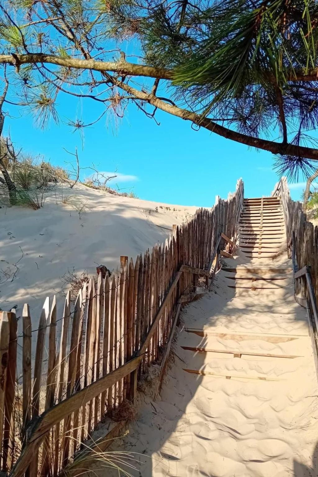 Holiday Home Les Pinasses By Interhome Mimizan-Plage Kültér fotó